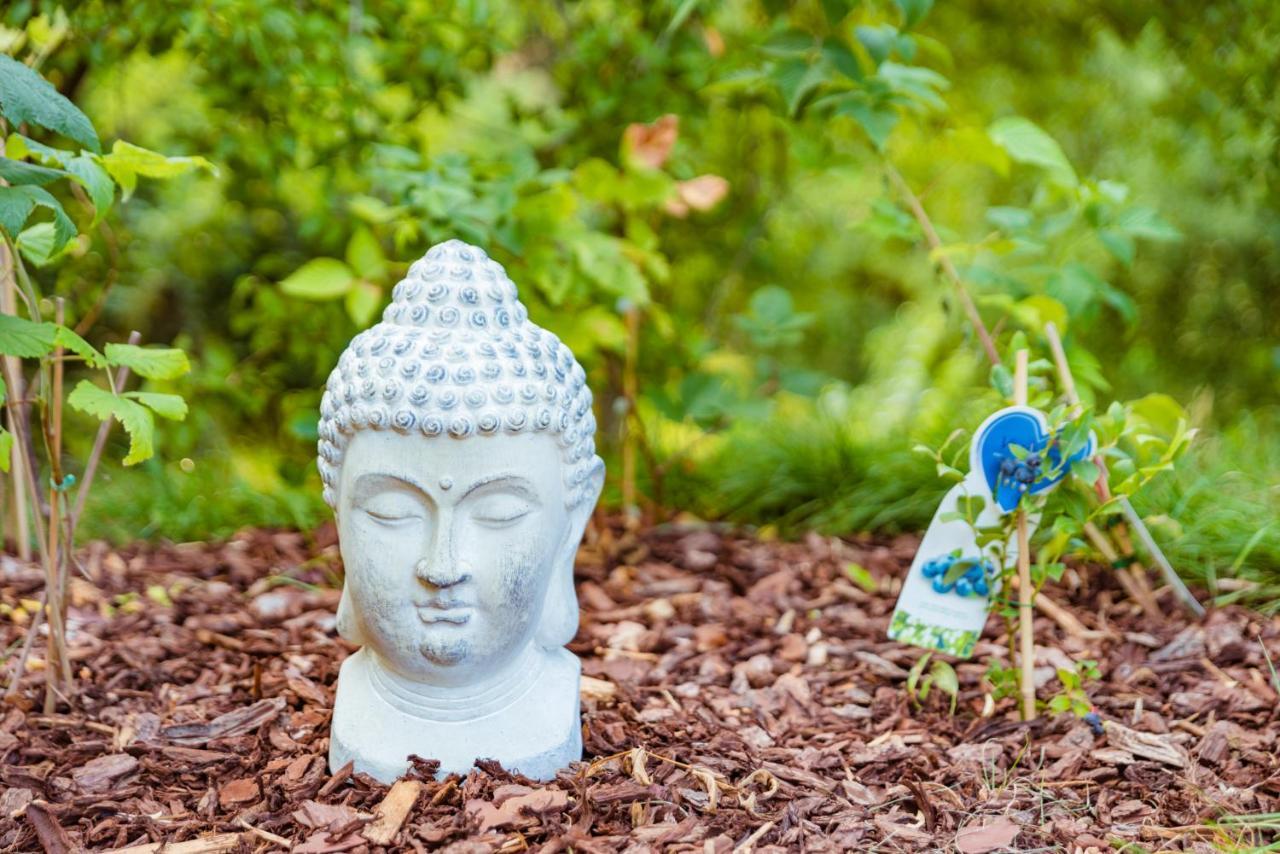 Tiny Messancy, Une Immersion Dans La Nature ! ภายนอก รูปภาพ